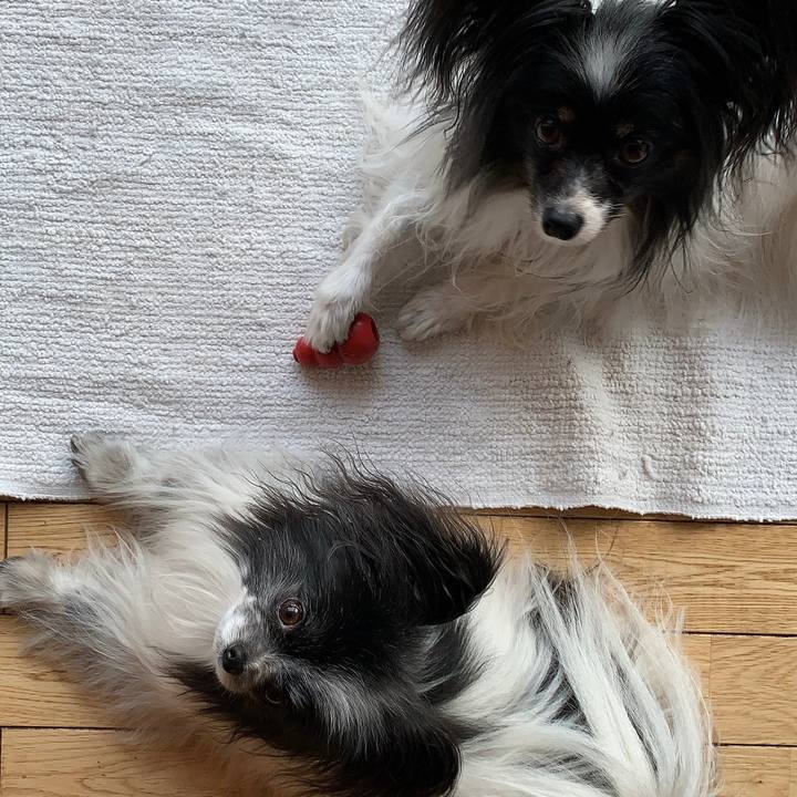 08d3116f f704 4ac2 a90b e954316867cf 1610054997184