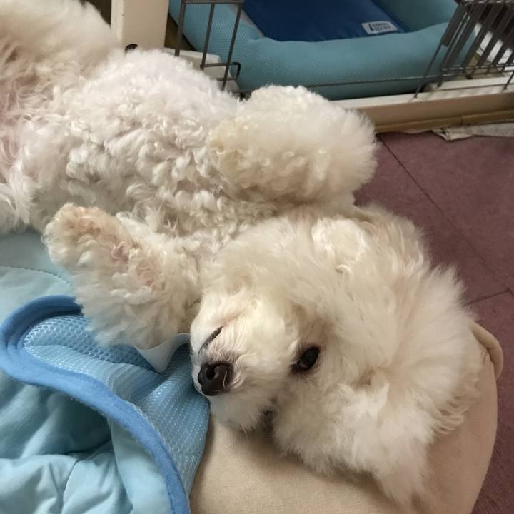 08d32564 aae9 41fd 82dd 08423367a545 1530177893833