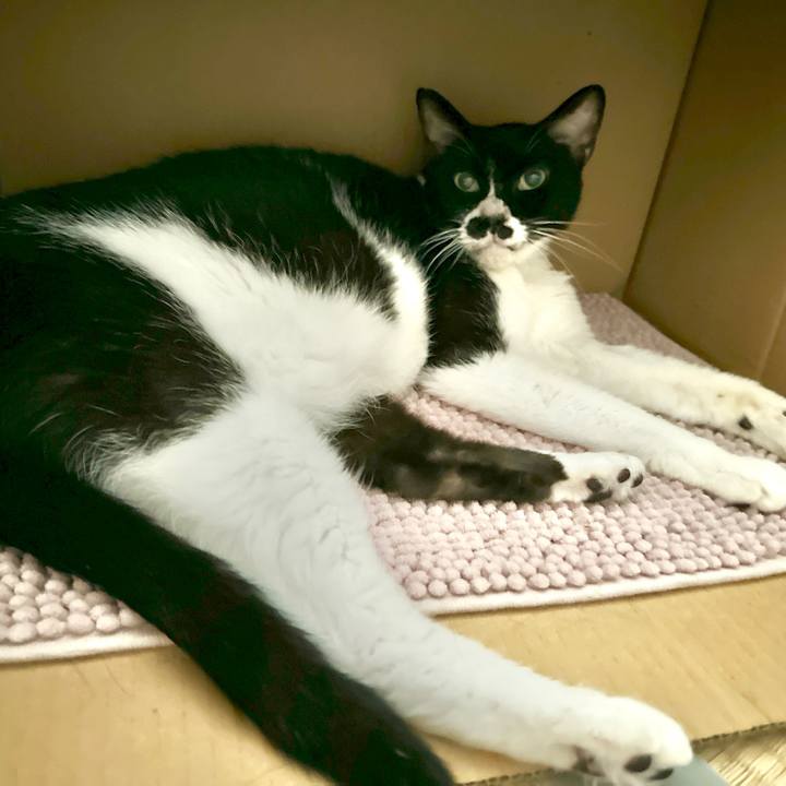 08d35fb6 9c2d 44ee ba32 0bb7f2e780e6 1724889244575