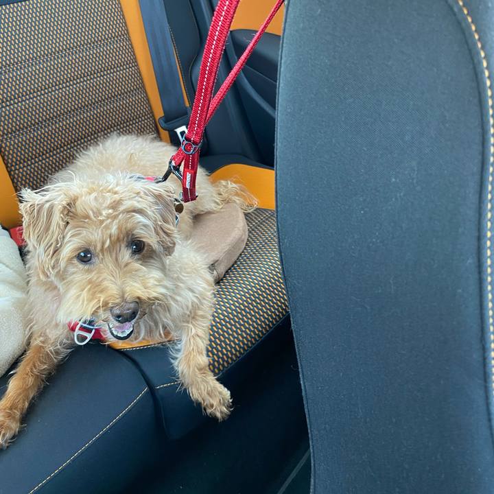 08d384c5 b3ac 436d b528 b7b31d329f5e 1687678672863