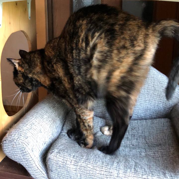 08d39e07 c9e5 41d7 bf2b 72ba4000019b 1603329600296