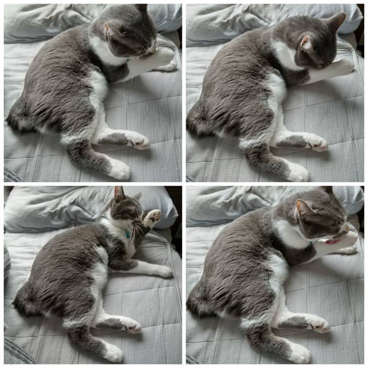 08d3a7d2 367e 48d2 8abf 5234b202097c 1638329639165