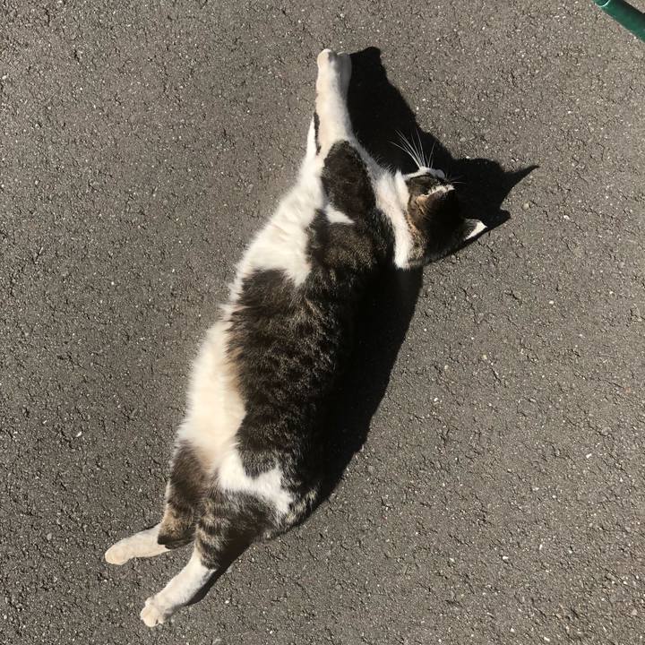 08d3c842 d920 405c a95d 69af6bca5330 1515314712131