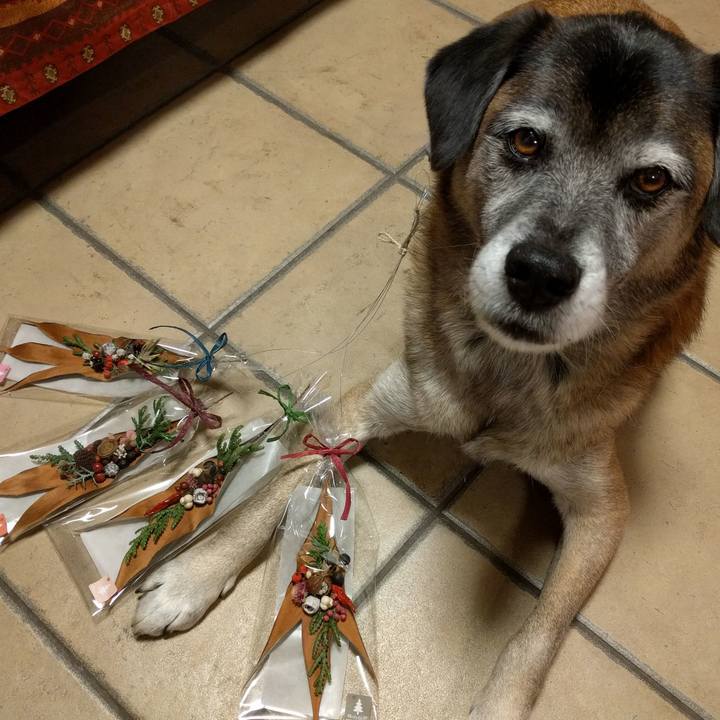 08d3ca55 5722 4abd b1d6 9061536a8fb5 1512895820974