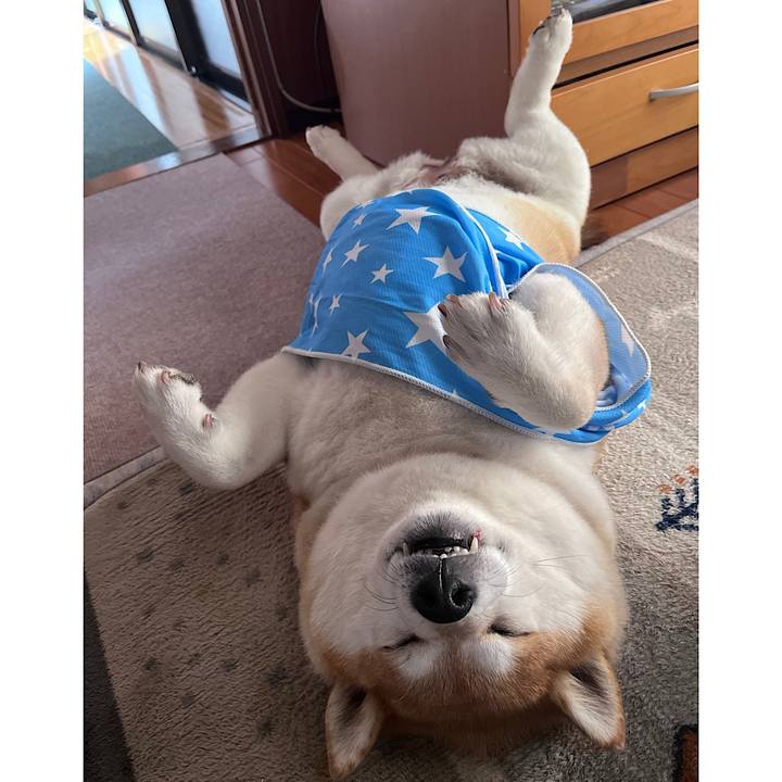 08d3e4b4 9fa3 4d18 89d7 9156db3b1450 1684376983517