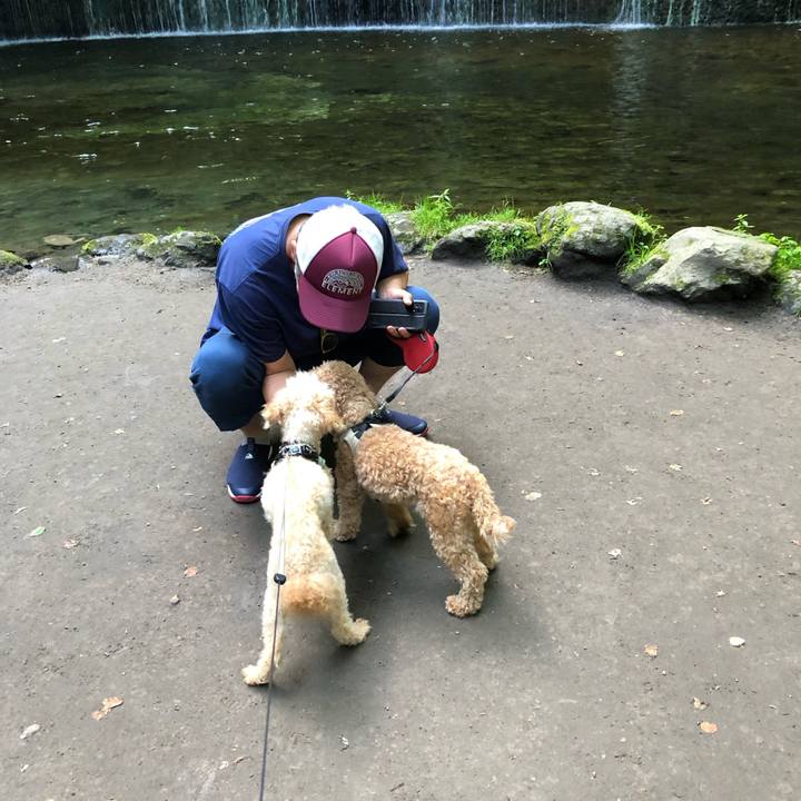 08d3f43d a6a3 4bc2 8b2c 17ed2de62e82 1720485016911