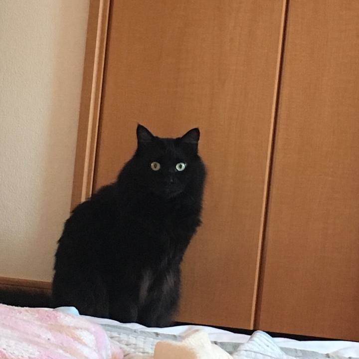 08d400f8 01f0 412d 8e9e db2c809c0ea8 1527553004366