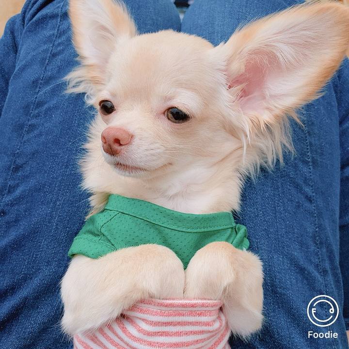 08d4080a 52f8 4fdb 8154 0c35fe8e02f8 1598931960587