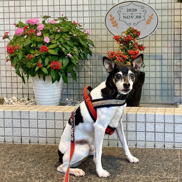 08d40df4 8f74 46b1 9f71 739241cbfe62 1604837128140