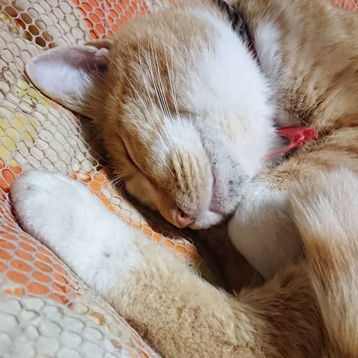 08d41cfc 6a49 4592 b5cc 232f7314a663 1574339453767