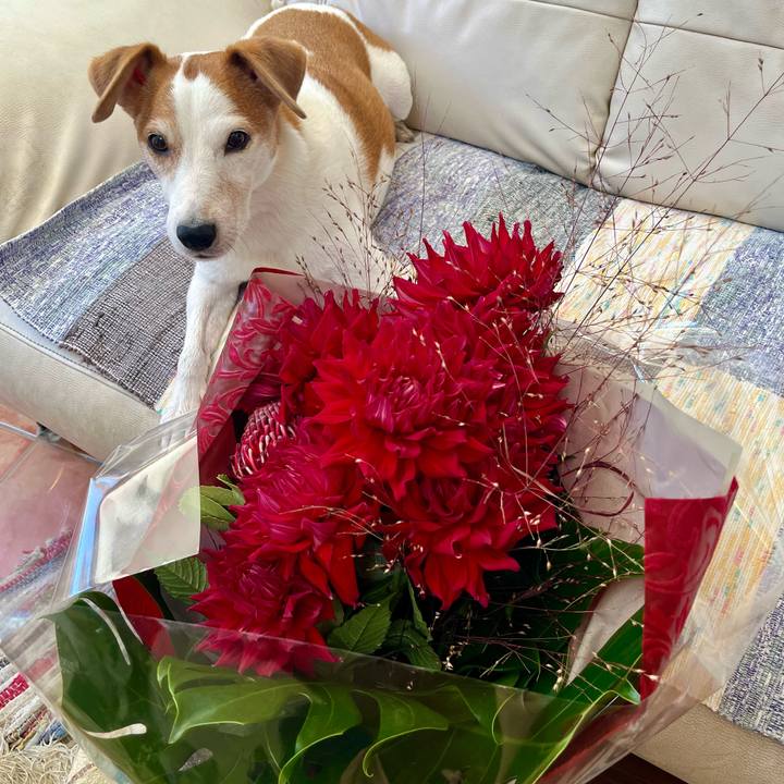 08d4353f 5f8e 4723 a302 7daa0106e245 1765493035734