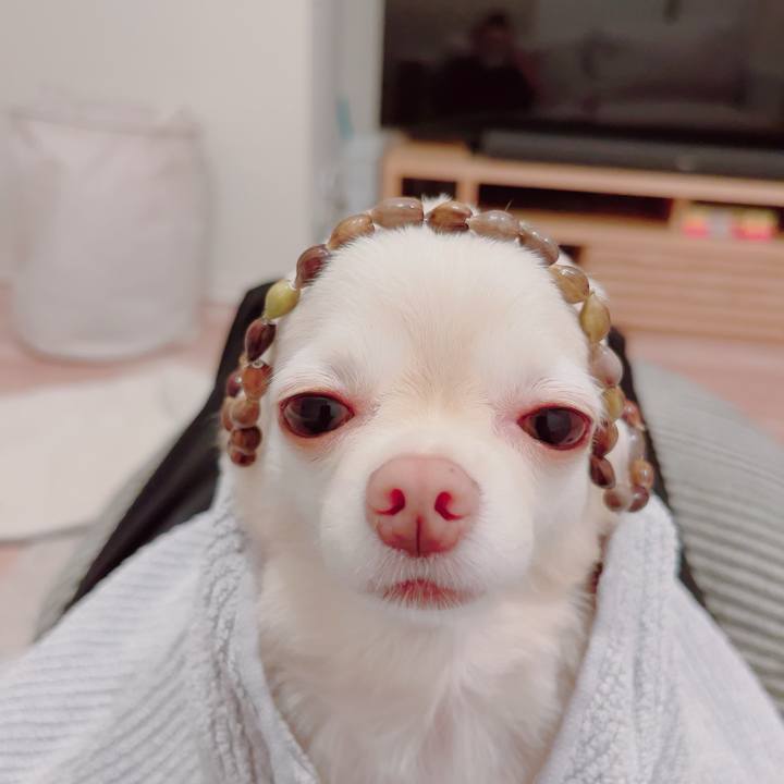 08d48a0d a9b7 47ab bfe1 f584cae515f2 1694688363683