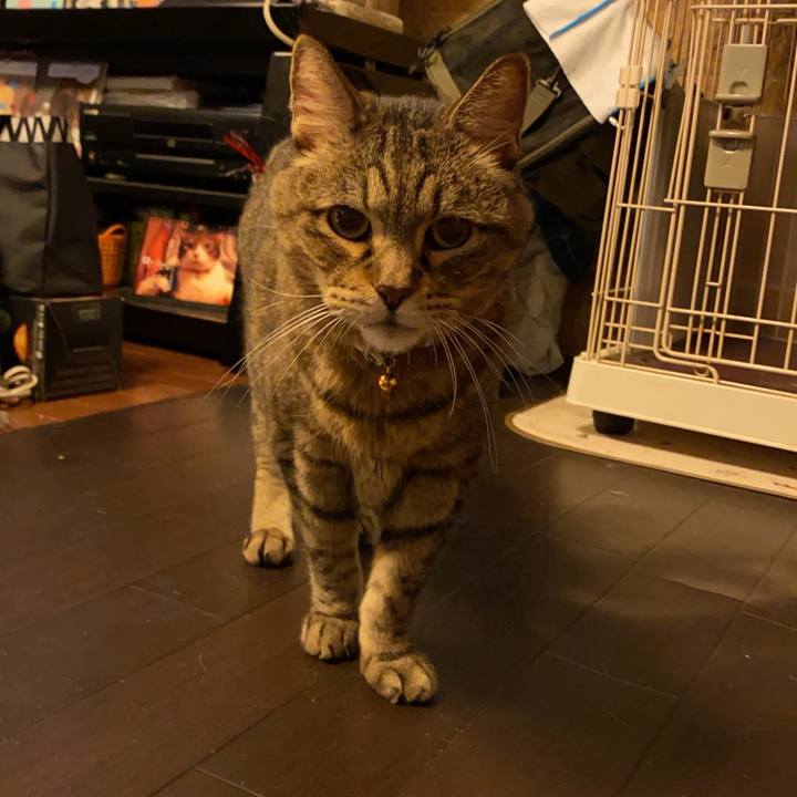 08d48ef2 e05b 47ce bf4f f80a07a9e048 1727565332347