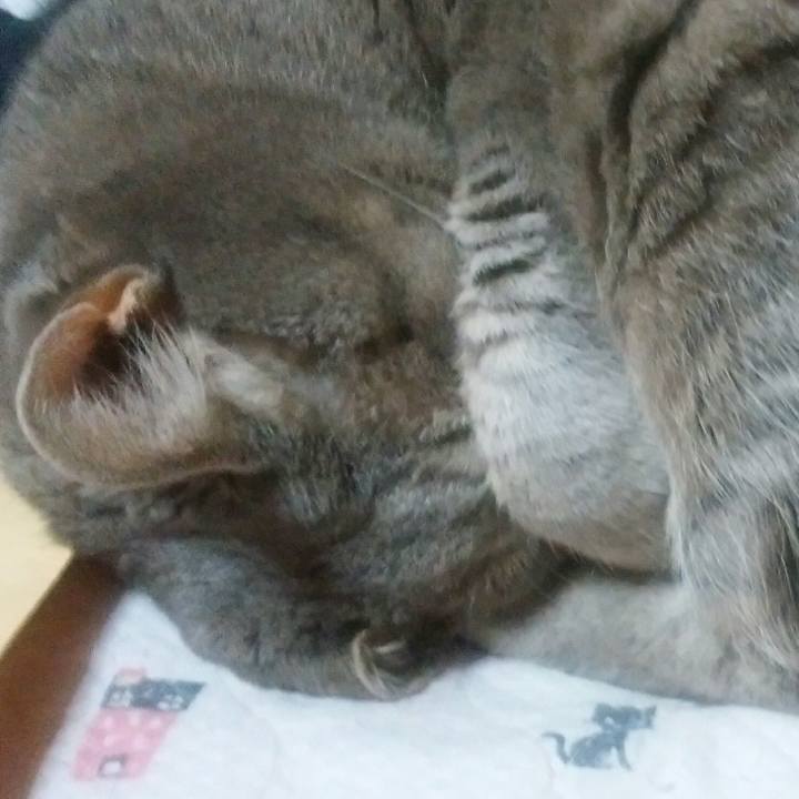 08d4ce1a cafe 4b6e 9188 35d1cd1107db 1556315313103