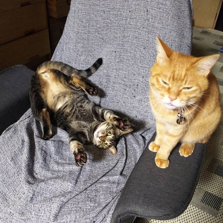 08d4dd60 de71 4255 bff5 90d9a88d934b 1538309005476