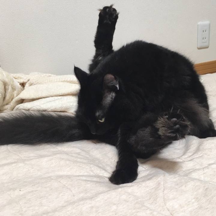 08d4e423 b5a3 4f6f ae55 d3e174a56ef3 1537609809467