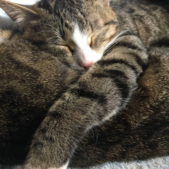 08d4e664 dee9 4d61 ae72 b652cbea9a09 1666023968026