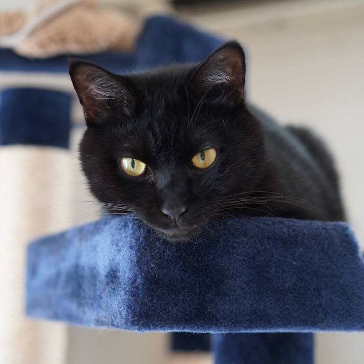 08d4ee42 aba9 4847 a7df 6e0ba65a4484 1627736311994