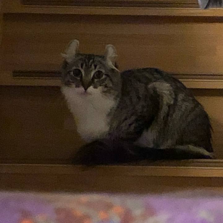 08d5014d 1fc2 4974 ae41 218846aca6f6 1519451626728