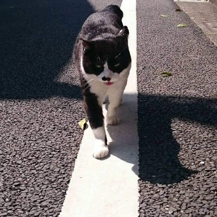 08d501c2 aba9 4759 ac59 7c54e0eb4fed 1524274605211