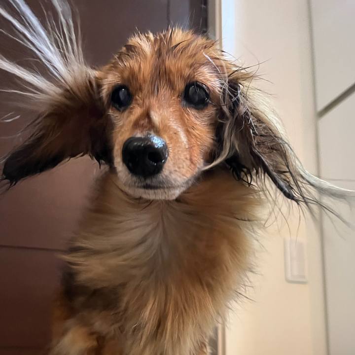 08d5079f 829d 44cc 83f8 f79b13c488a1 1771130943676