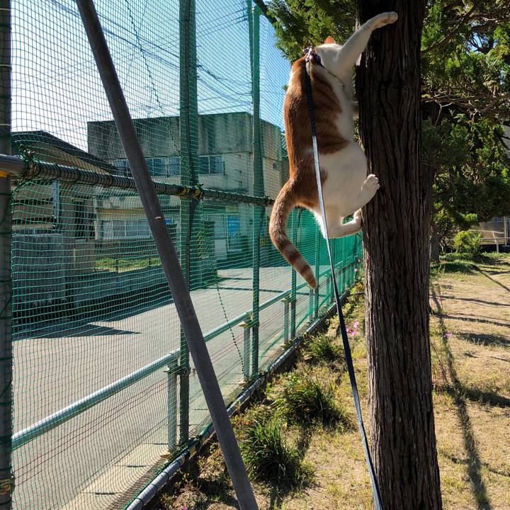 08d50b48 2739 433c 8d4d 10de07e6132a 1538968807684