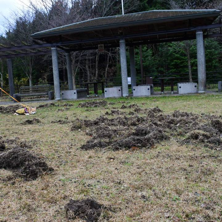 08d520df d81e 46b8 bb98 0e5bbcd08d7f 1639636229163