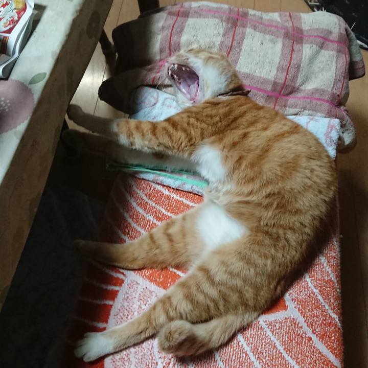 08d5461b 2c22 4de3 b071 ab76129eb087 1606294611082