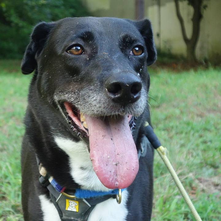 08d569d2 5dc5 40b9 ab82 7c8d830eaeee 1664587241969