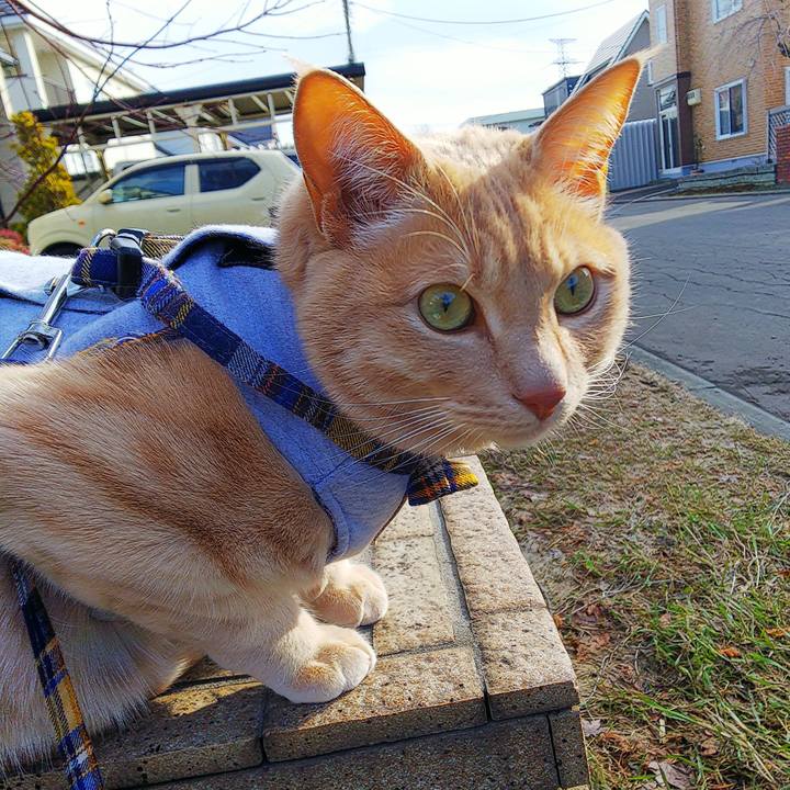 08d5b67d 1475 416f 9d23 69488a8948f5 1586042426941