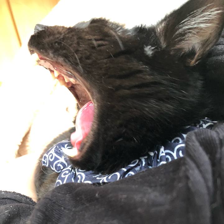 08d5bba1 27f2 4c34 a5ec b124735f2fb8 1561151753027