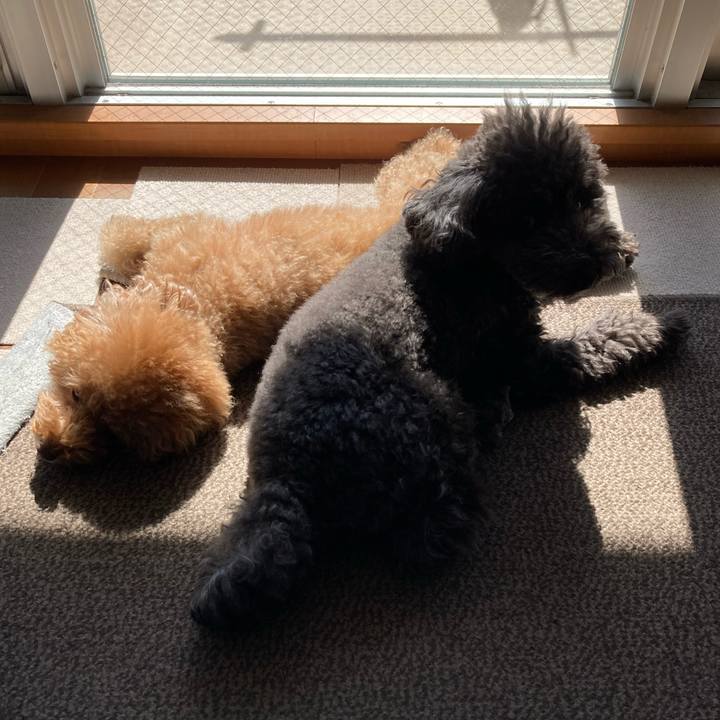 08d5cfce c00a 4e58 a62f 60e838d9a9aa 1665997143270