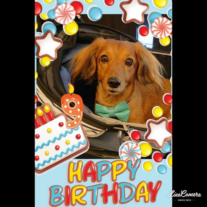 08d6030a 4468 4bf1 89d3 085569622e7e 1566252092006