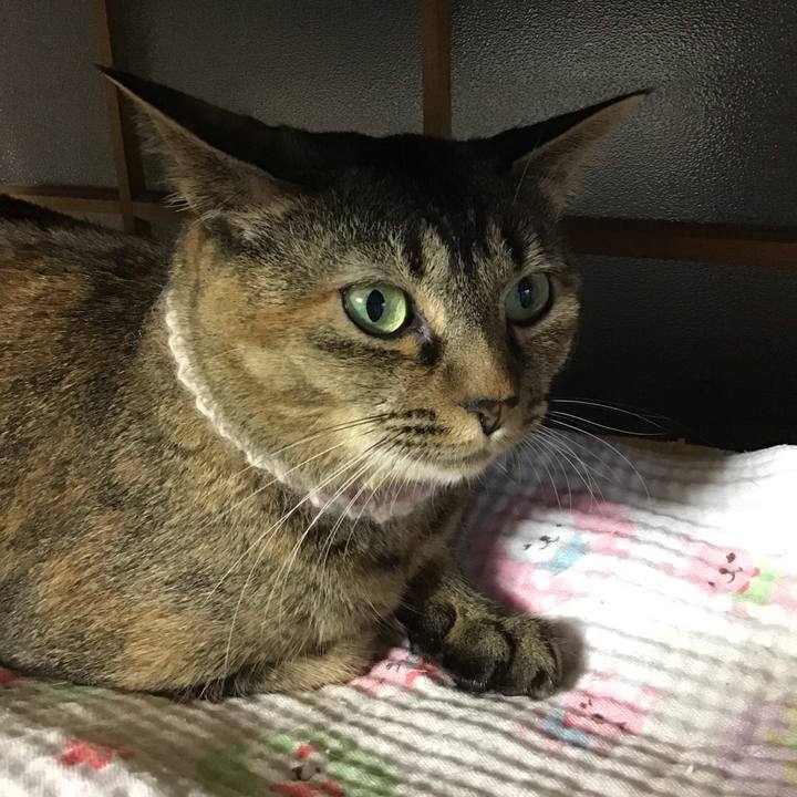 08d607bd b04e 407b a49e fc92555e9b75 1657449664872