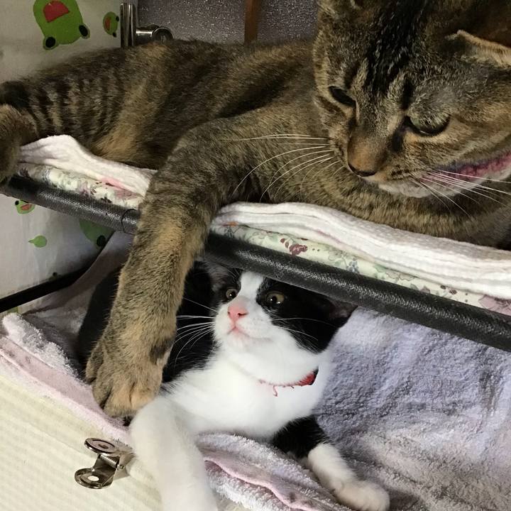 08d620d5 ecc8 4422 a24c 2f0d5b207cd4 1626937803182