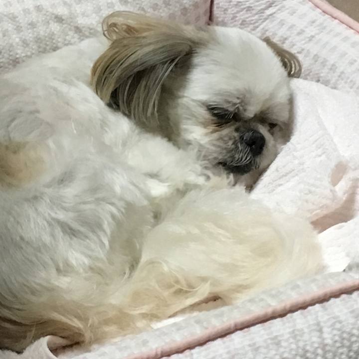 08d625a7 449f 4638 a318 9b12ce2f3a87 1565007354707