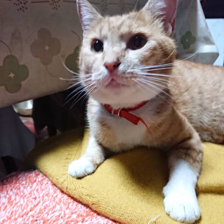 08d63248 2a06 4815 bee4 9c27978c7fb6 1570135111661