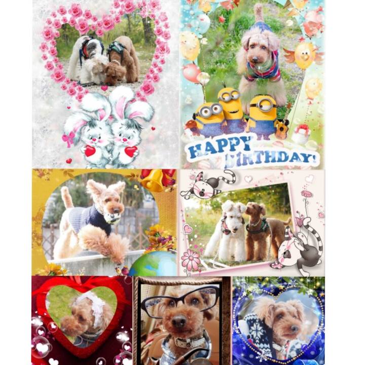 08d64271 e95a 45cd 834d 058734aabf94 1560180572718