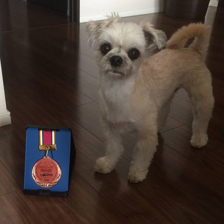 08d6d991 f2eb 42ba 89c0 e13e0be4d696 1560067631162