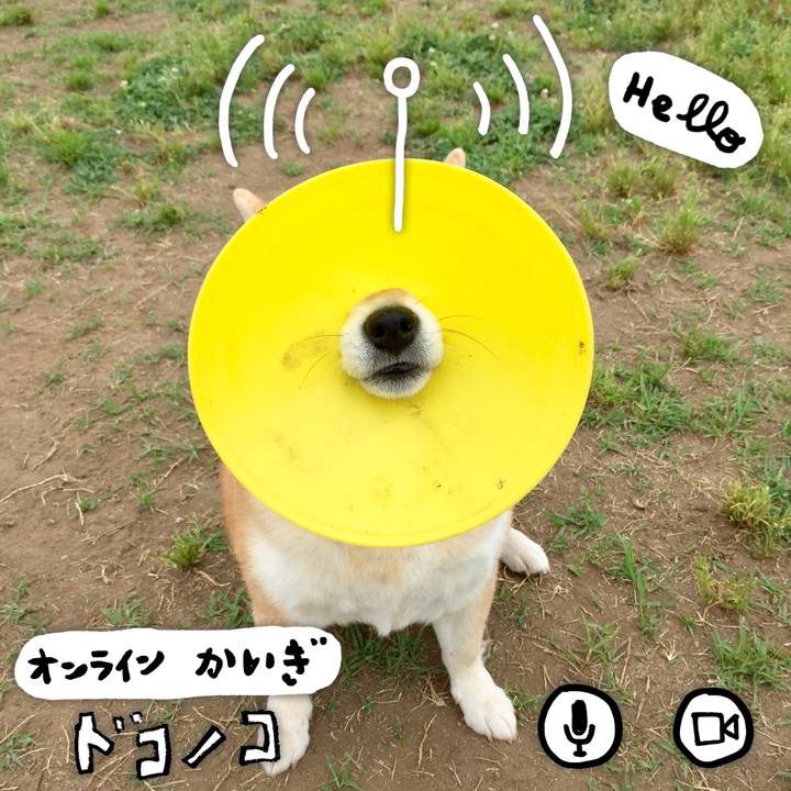 08d6eb19 8b6b 493e 8696 95714fddd318 1591273157151