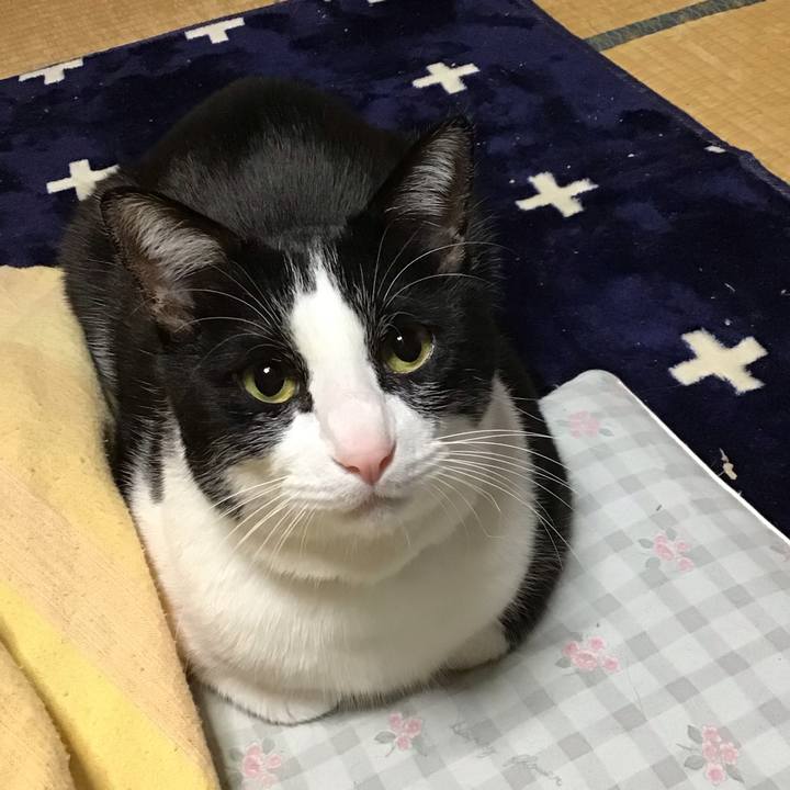 08d7445c 0cbe 4268 aecf 1e4ab58e7460 1708348050508