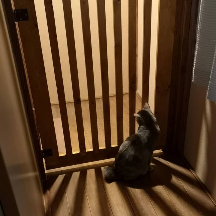 08d759c0 f0de 46c9 b616 b5346a85ed37 1587737728755