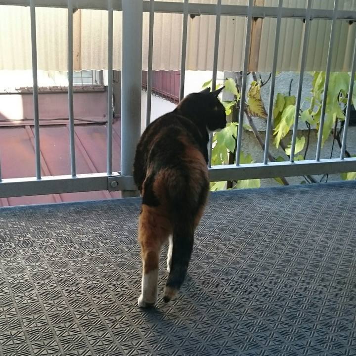 08d78121 7662 426f bed3 0fa6b5a88629 1512796435405