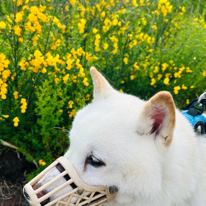 08d7a7a8 5e73 4767 bd0c 1910bfbbe04e 1717333934204