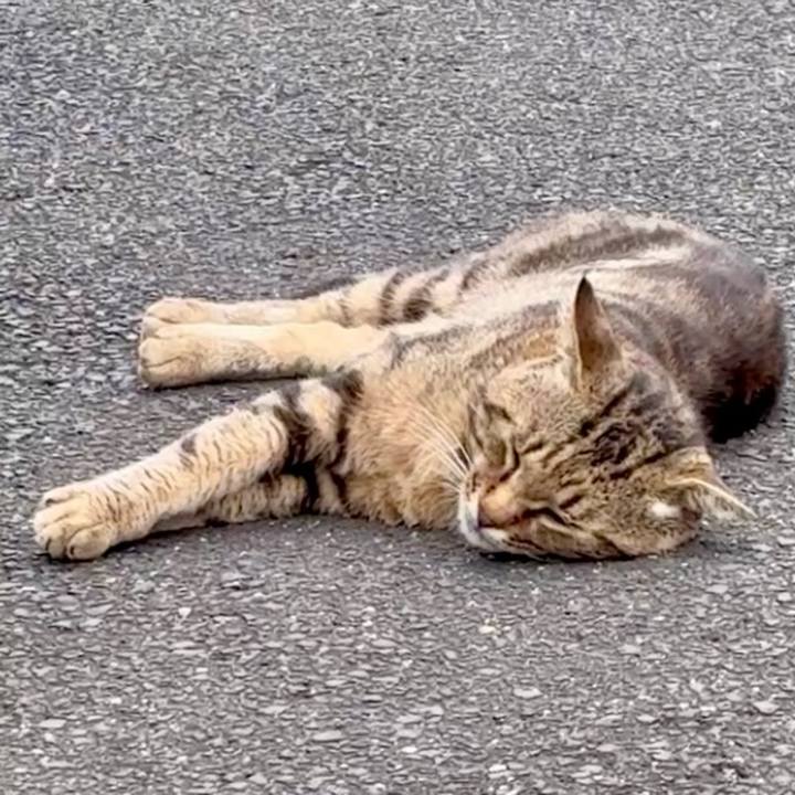 08d7e7a7 fcc4 45b2 8642 ce50e4a98617 1749628031292