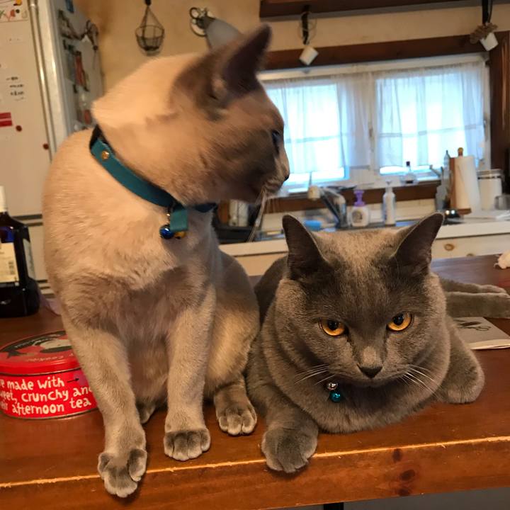 08d80b35 5900 4d49 99f3 dc809e0ad3c1 1543244162457