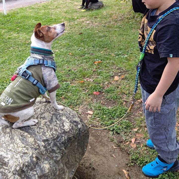 08d8261b 7753 4041 ac4b 08da818929cf 1700314641134