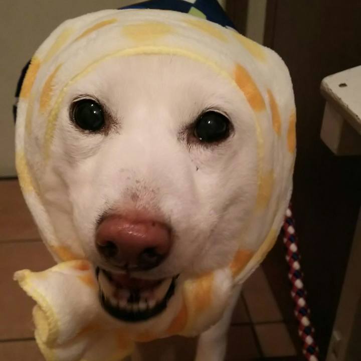 08d8ab4e 9a46 47e5 b97d 708789a56696 1586776295355