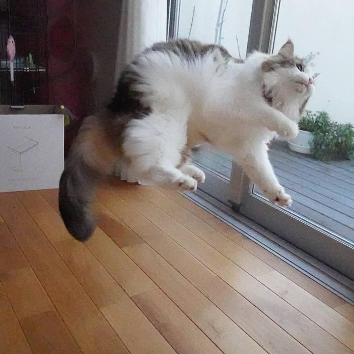 08d8e504 b897 4768 a689 cabd76d9a8c4 1609413896770