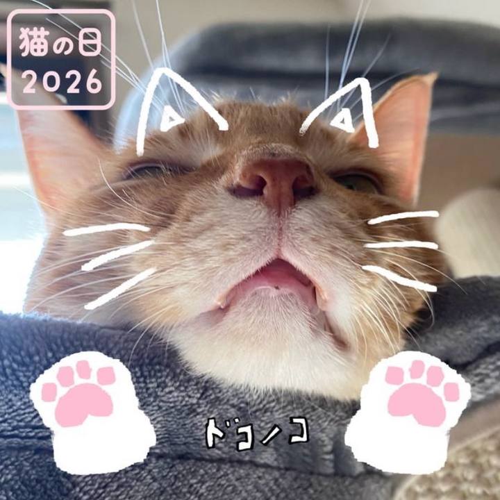 08d93526 1381 4b09 9552 ffda28f70c24 1771758190901